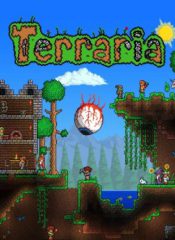 سی دی کی اورجینال Terraria